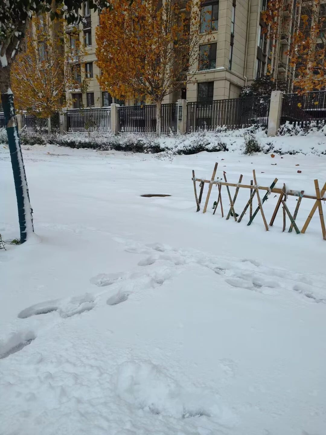 -7℃！阜阳急寻“舔雪”小分队， 今天下雪啦！还有更刺激的……