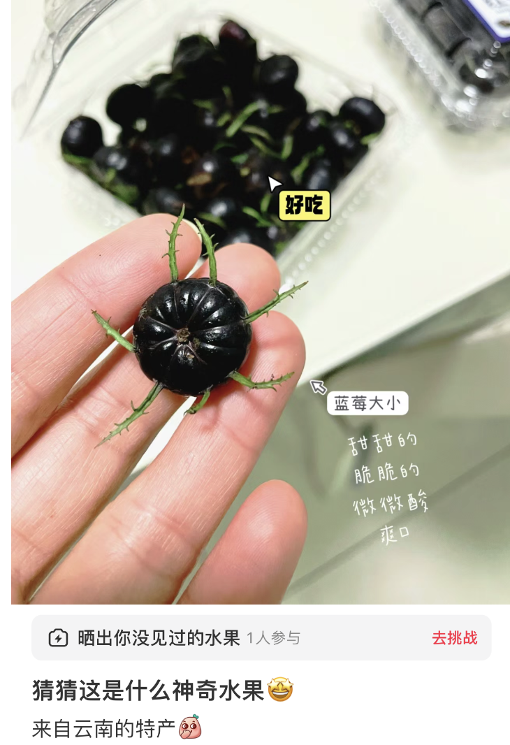 微信图片_20240201085833.png 这种突然走红,长得像蜘蛛的神奇水果,到底是什么?好吃吗?