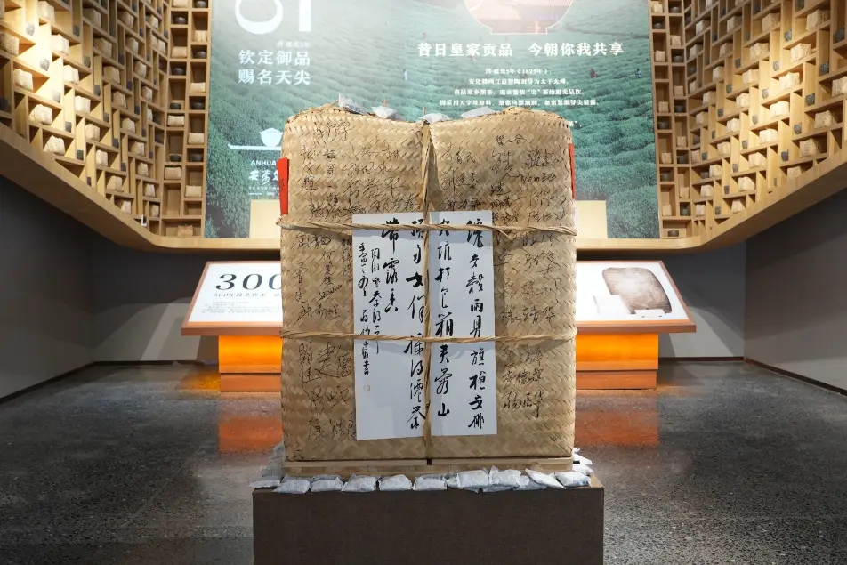 你不知道的益阳 | 安化茶有多牛？曾是贡茶，制作技艺是国家级非遗、人类非遗！