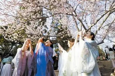 运河桃花文化商贸旅游节吸引游客来打卡 百名留学生 寻美桃花堤 