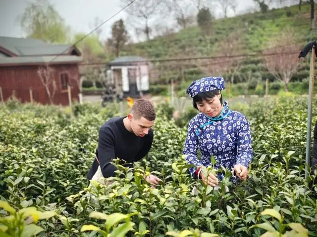 "老外看扬州"融媒体活动首站：沉醉山水茶韵间，共赏非遗文化魅力 图2